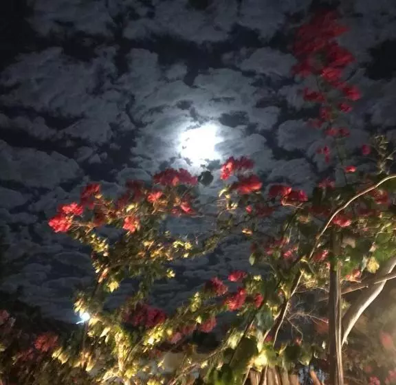 ペンション Casa éolica