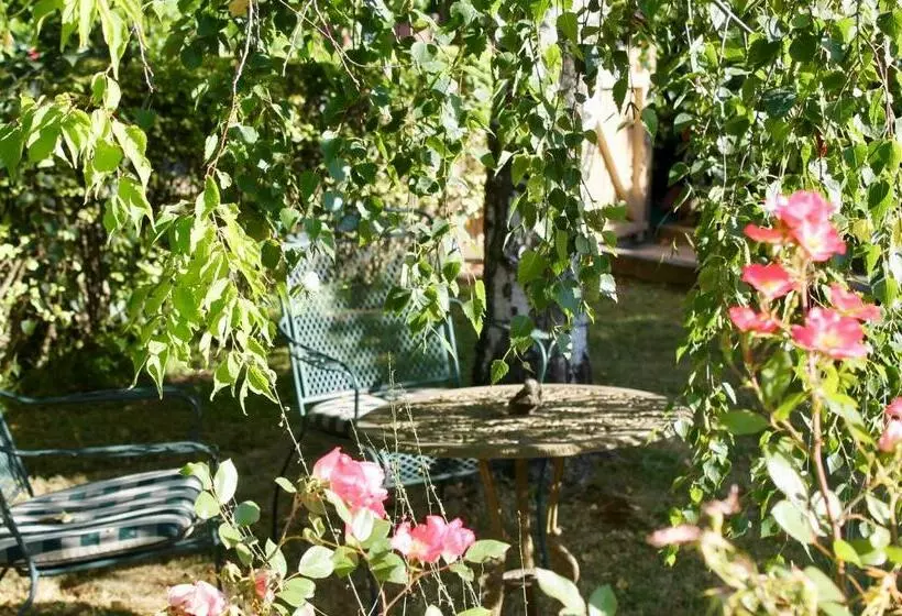Silver Birch B&b