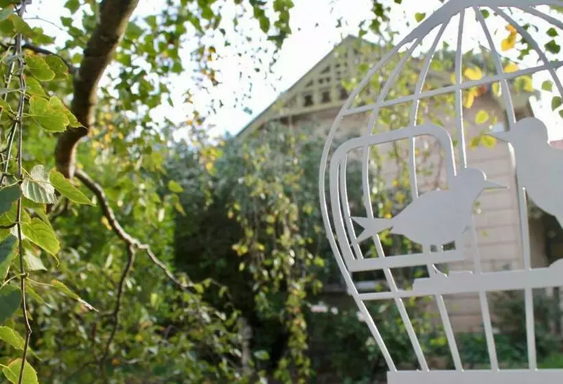 Silver Birch B&b