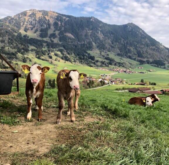 Bed and Breakfast 2 Raum Gästezimmer Prokop