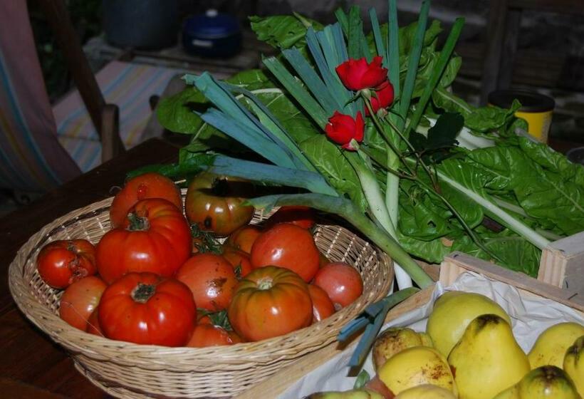 住宿加早餐 La Freiressa