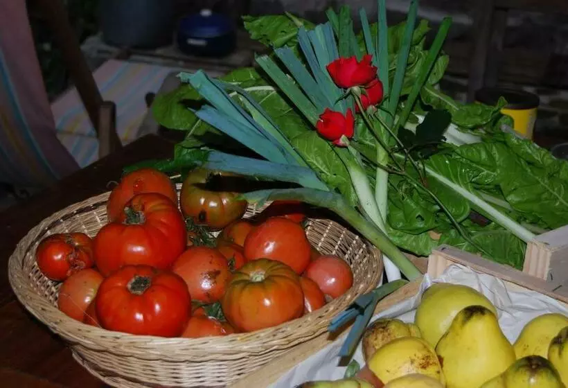 ベッドアンドブレックファースト La Freiressa