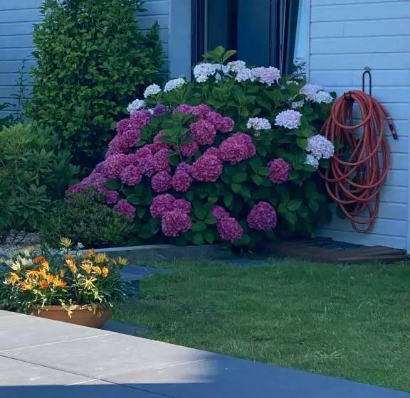 Aamiaismajoitus (B&B) Les Evens La Baule