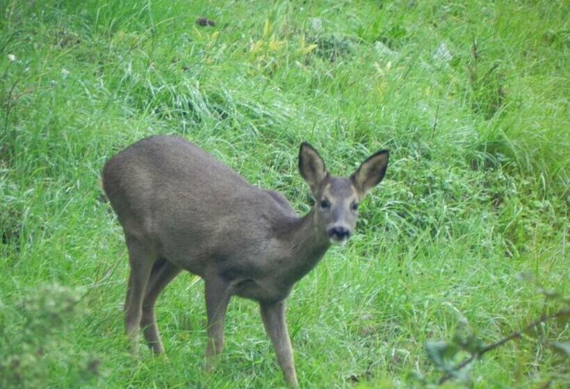مبيت وإفطار Les Patis