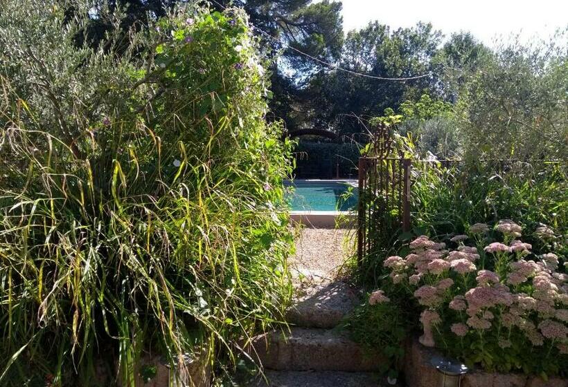 Bed and Breakfast Mas De Camejean