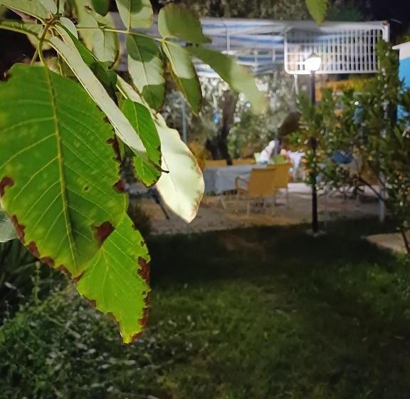 تختخواب و صبحانه The Cotton House