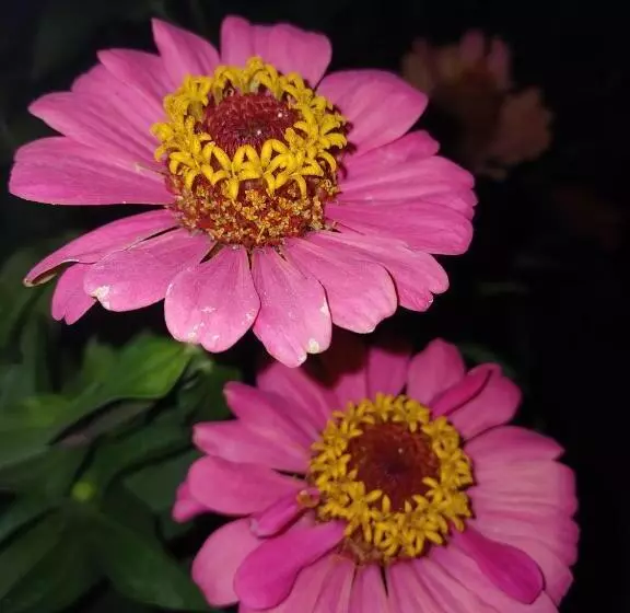 Aamiaismajoitus (B&B) The Cotton House