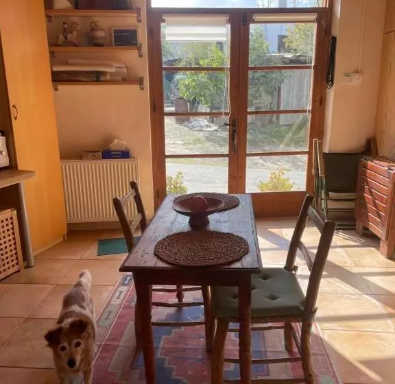 Majatalo Avli The Courtyard