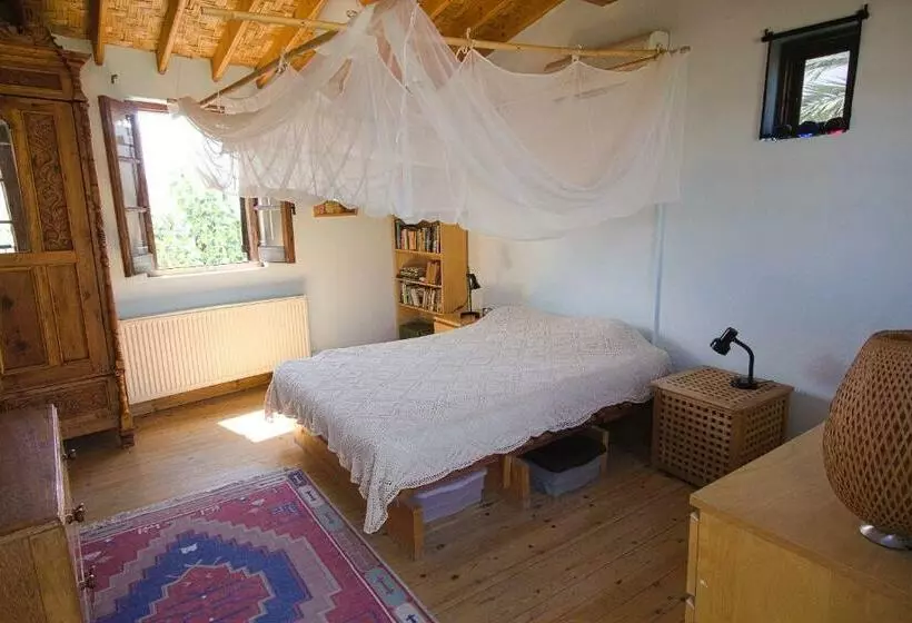 Majatalo Avli The Courtyard