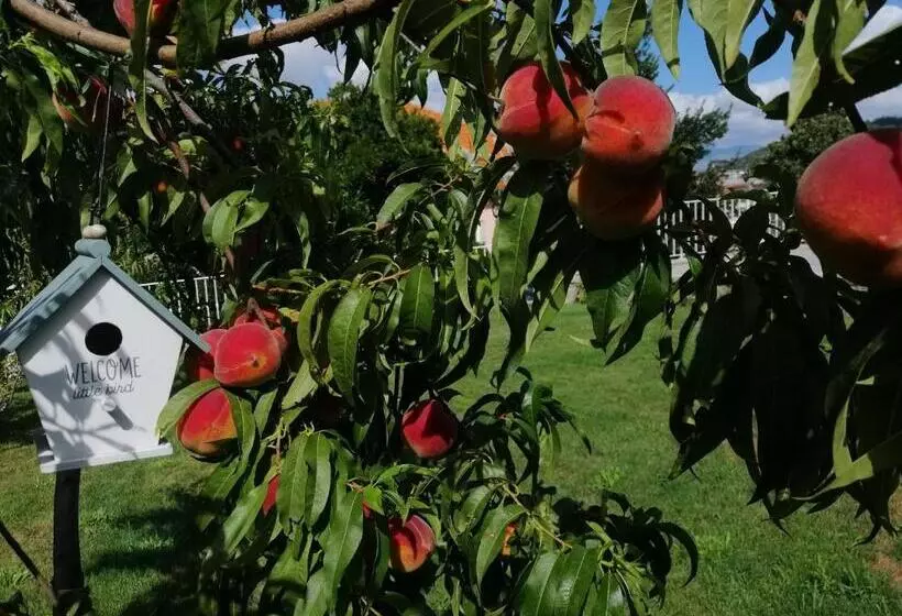 ペンション Casa Victória