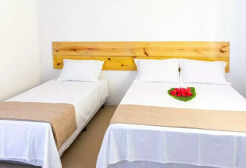 ペンション Pousada Rio Da Vila