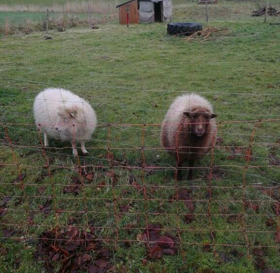 Пансион Villa Friesenkät