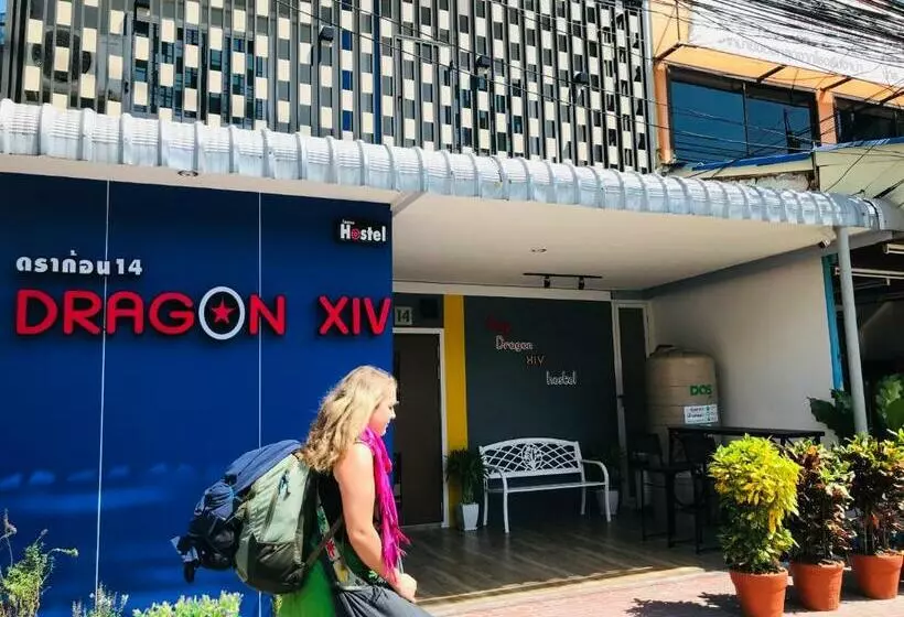 هاستل Dragon Xiv