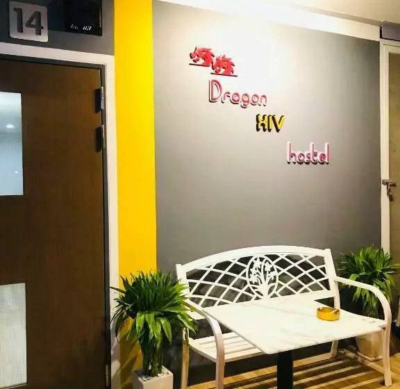 هاستل Dragon Xiv
