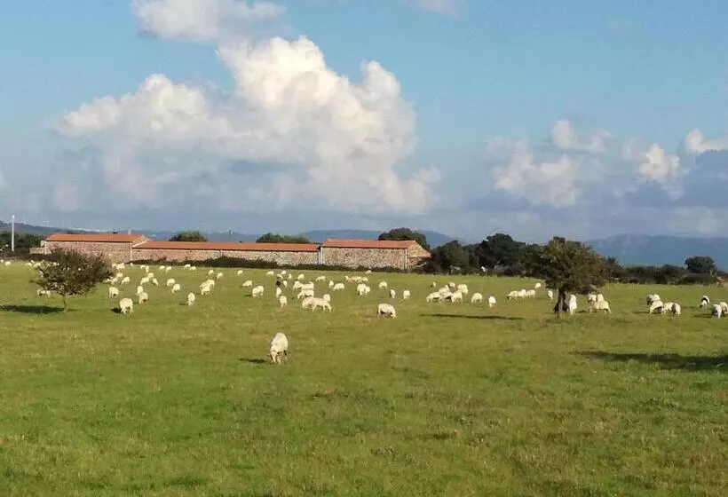 ベッドアンドブレックファースト Is Antas