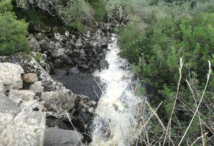 مبيت وإفطار Is Antas