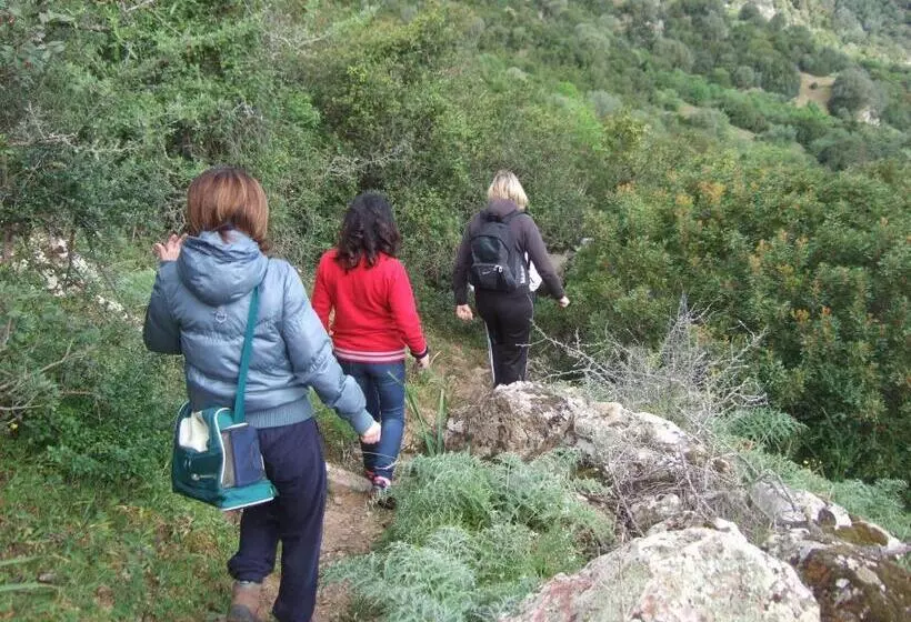 ベッドアンドブレックファースト Is Antas