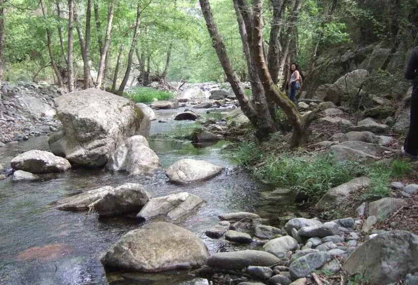 ベッドアンドブレックファースト Is Antas