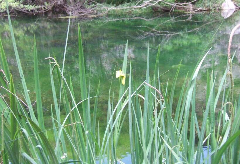 مبيت وإفطار Is Antas