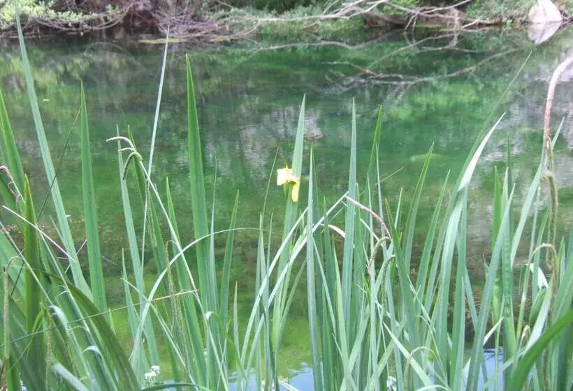 ベッドアンドブレックファースト Is Antas