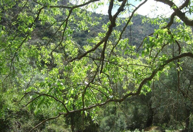 مبيت وإفطار Is Antas