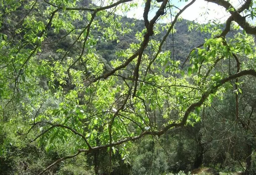 ベッドアンドブレックファースト Is Antas