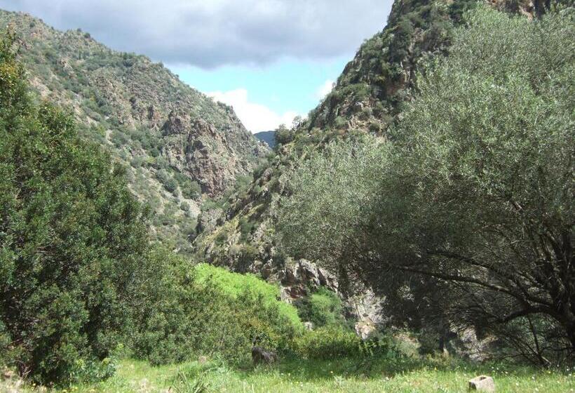 مبيت وإفطار Is Antas