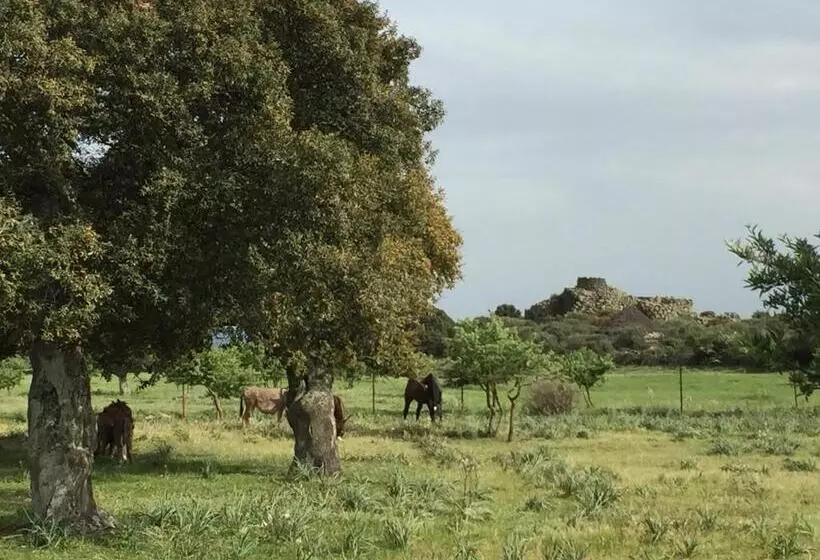 ベッドアンドブレックファースト Is Antas