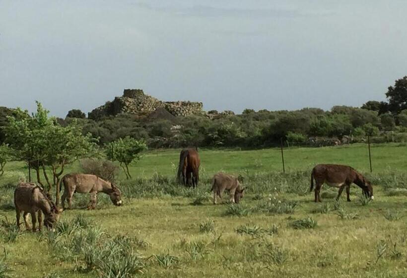 مبيت وإفطار Is Antas