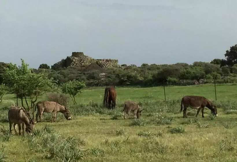 ベッドアンドブレックファースト Is Antas