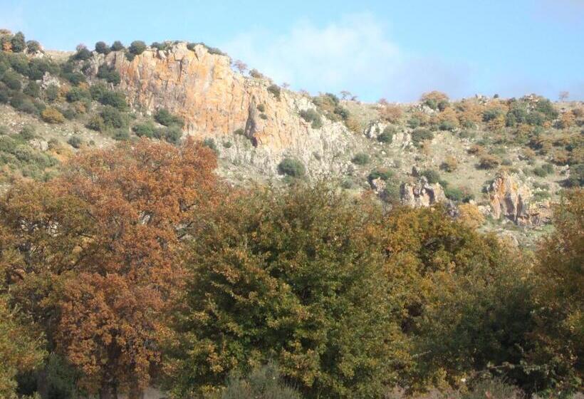 مبيت وإفطار Is Antas