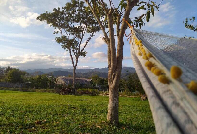 민박 Casita Tonina