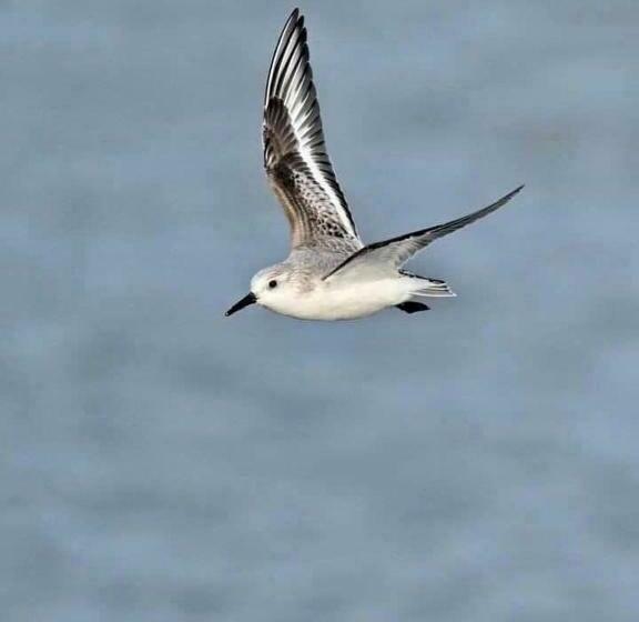 مبيت وإفطار Villa Cathy Chambres D Hôtes