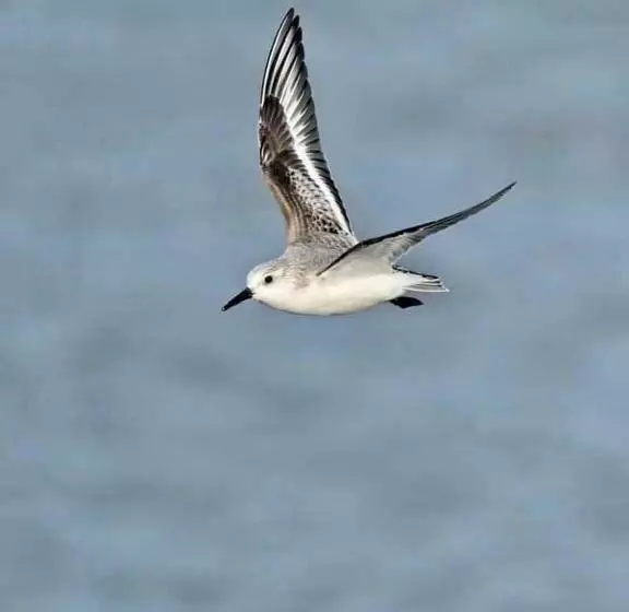 ベッドアンドブレックファースト Villa Cathy Chambres D Hôtes