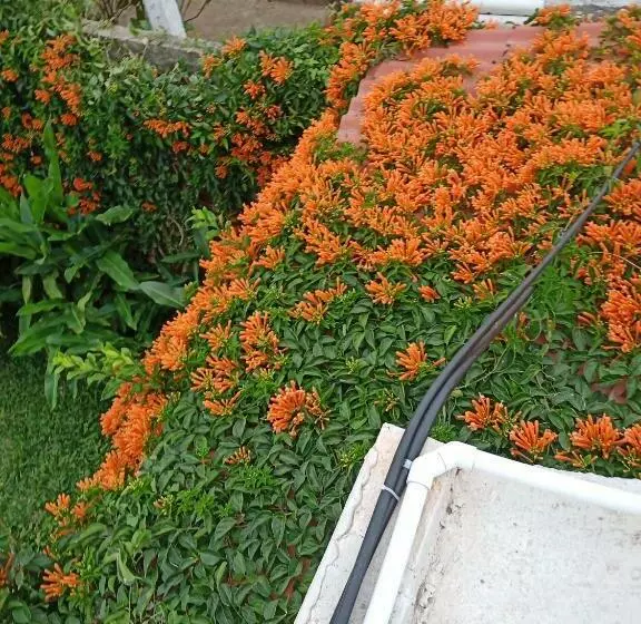 Majatalo Villa Kosniin