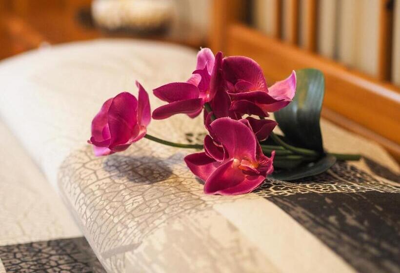 Bed and Breakfast Paradiso Della Bici