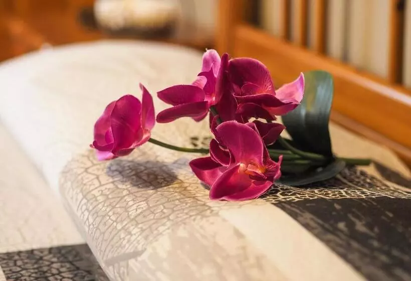 Aamiaismajoitus (B&B) Paradiso Della Bici