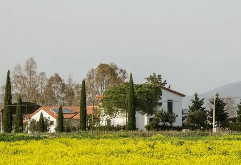 پانسیون B&b Podere684
