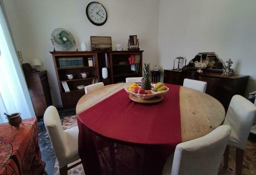 هاستل Movidablablabla