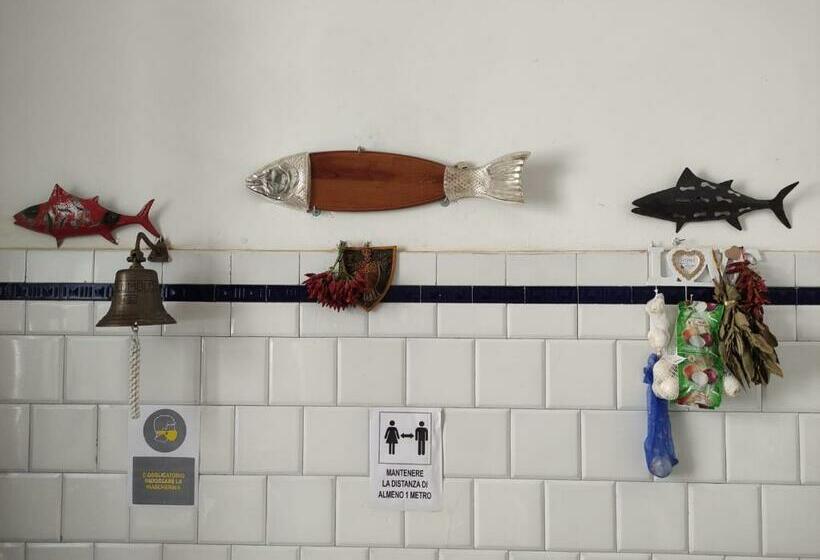 هاستل Movidablablabla