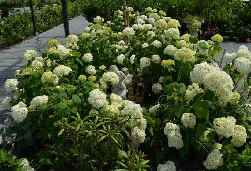 B&b “de Boerlarij”