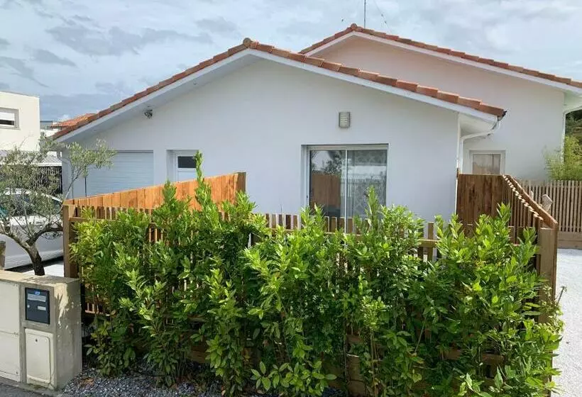 تختخواب و صبحانه Chambre Privée Avec Terrasse
