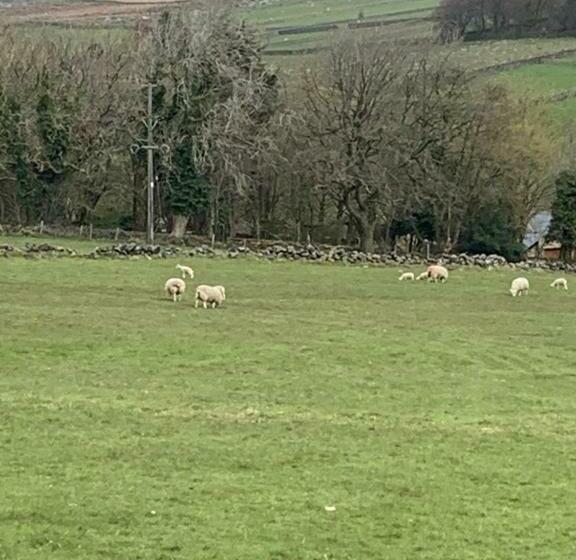Bed and Breakfast Church Gate Farm