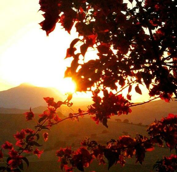 ベッドアンドブレックファースト Finca Las Campanas Ii