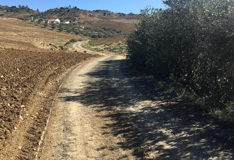 ベッドアンドブレックファースト Finca Las Campanas Ii