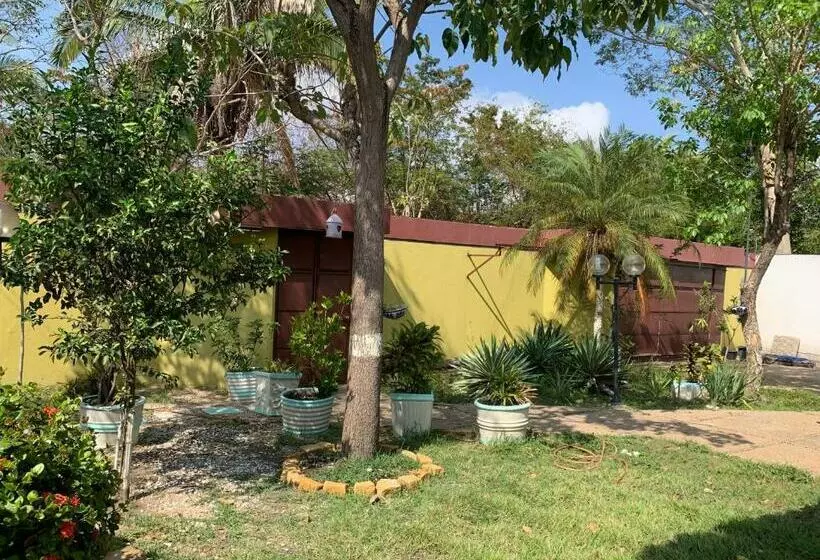 Aamiaismajoitus (B&B) Sossego E Tranquilidade