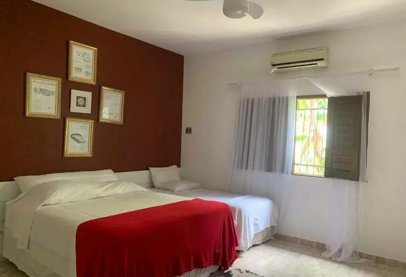 Aamiaismajoitus (B&B) Sossego E Tranquilidade