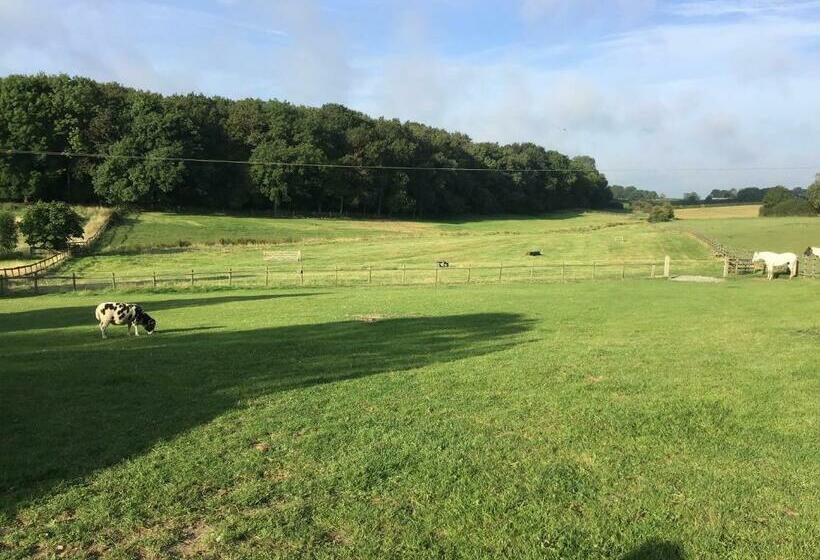 Bed and Breakfast The Grange Silverstone