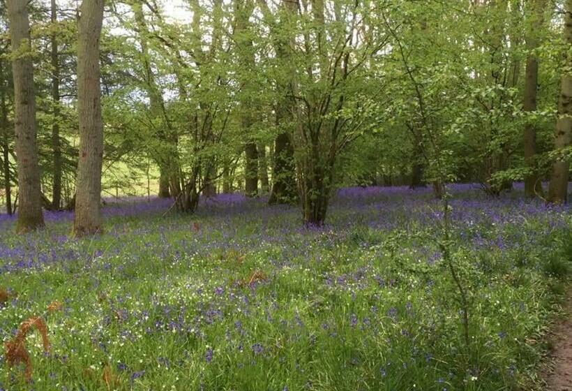 민박 The Grange Silverstone