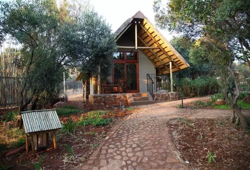ベッドアンドブレックファースト Tidimalo Lodge